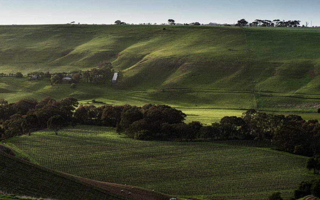Father’s Day 2025 at Clyde Park